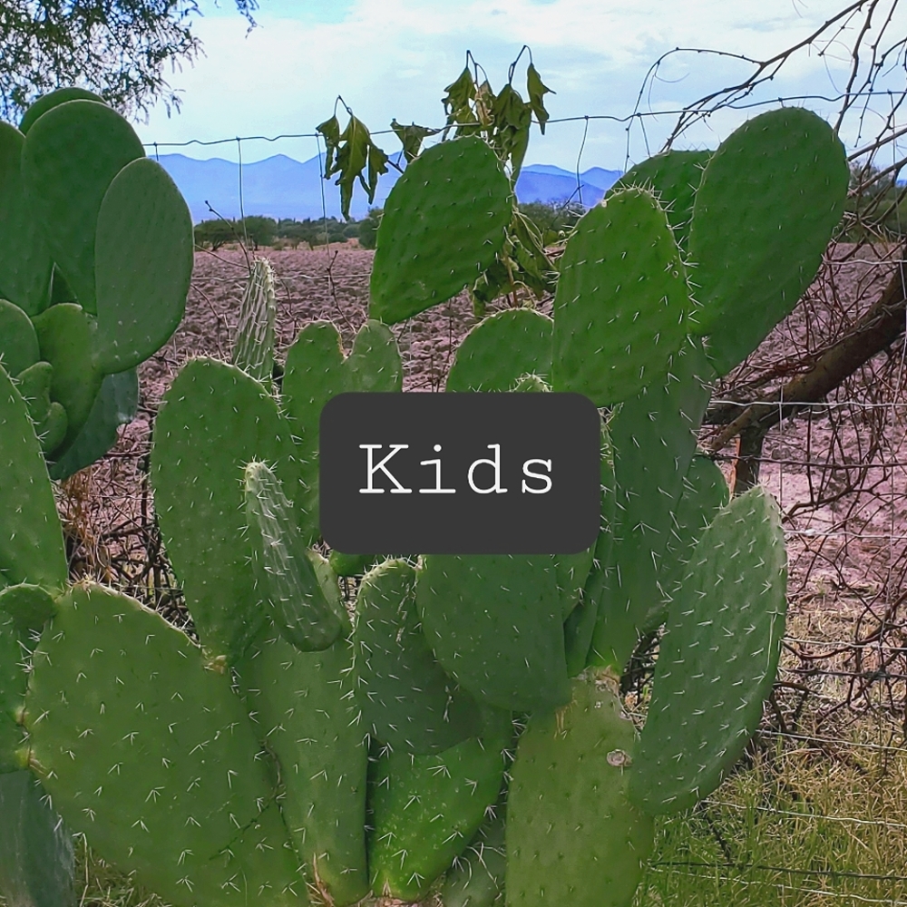 Kids Clothing / Items below